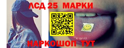 гидропоника Пугачёв