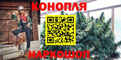 гидропоника Пугачёв