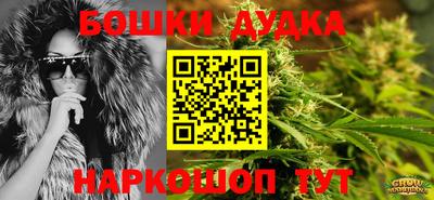 гидропоника Пугачёв